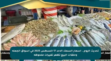 تحديث اليوم.. أسعار السمك الأحد 17 أغسطس 2025 في أسواق الجملة وحلقات البيع تظهر تغيرات ملحوظة